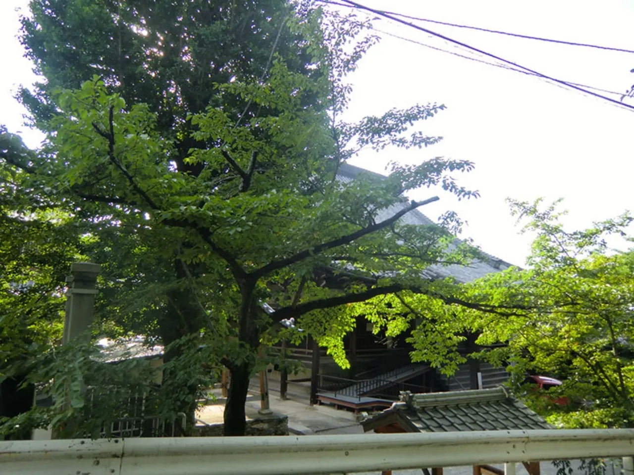 了賢寺の四季(夏)